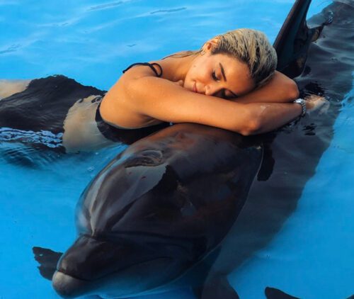 Dolphin World Tour from Agadir: A Marine Adventure for All Ages