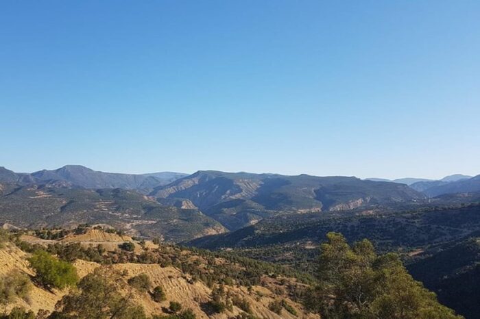 Paradise Valley and Sandboarding trip from Agadir​ - Image 9