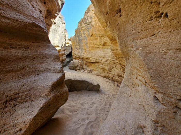 Paradise Valley and Sandboarding trip from Agadir​ - Image 12