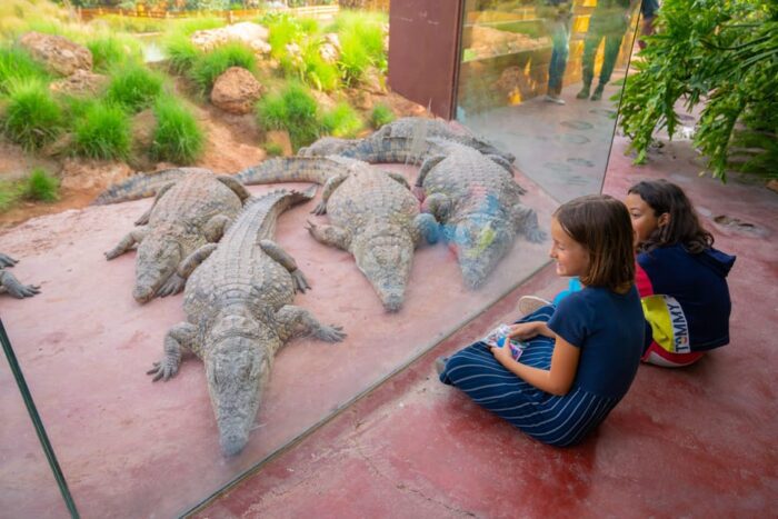 Crocoparc Tour from Agadir: Discover the World of Crocodiles - Image 8