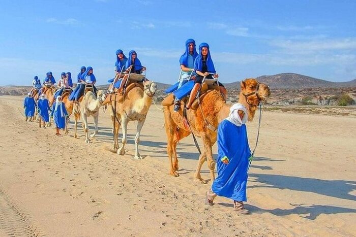 Camel Ride Tour in Agadir: Explore Nature and Culture - Image 9