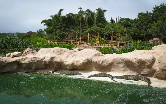 Crocoparc Tour from Agadir: Discover the World of Crocodiles - Image 2