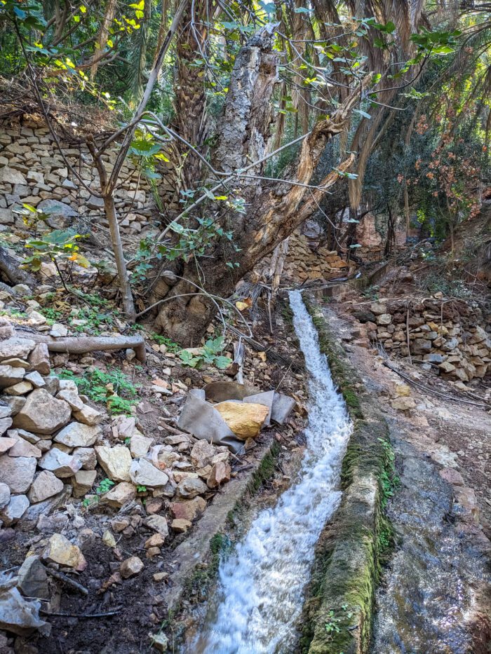 Hiking Tour in Agadir: An Authentic Trekking Experience - Image 4