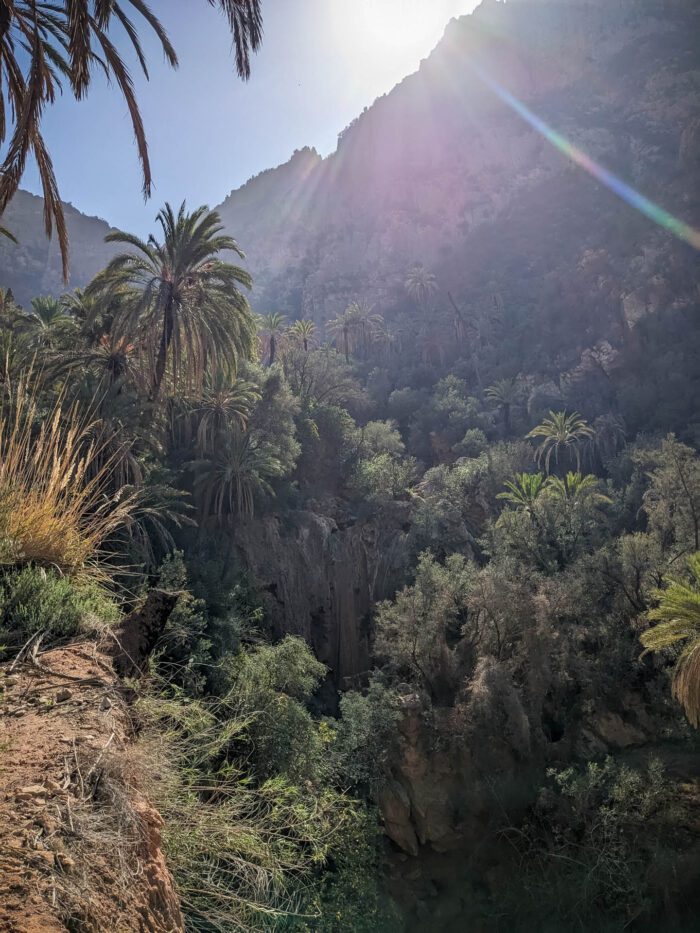 Hiking Tour in Agadir: An Authentic Trekking Experience - Image 3