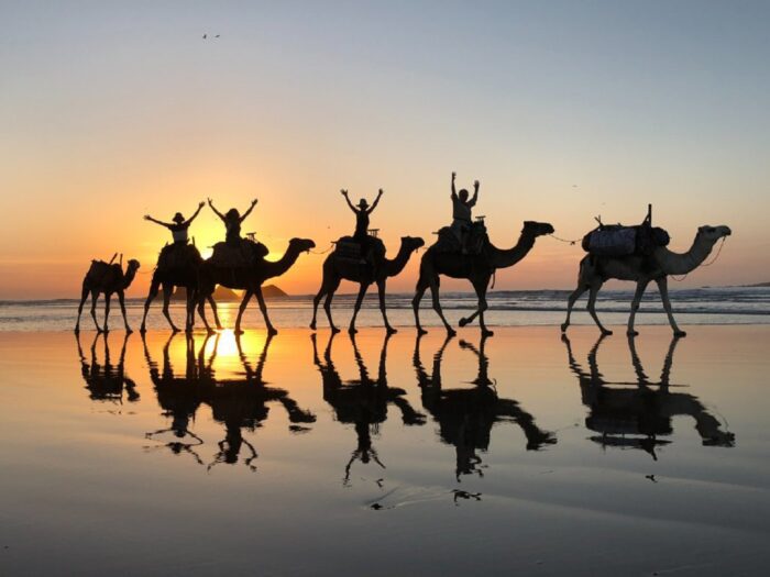 Barbecue Camel Ride in Agadir: Adventure Meets Culinary Delight - Image 7