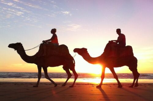 Camel Ride Tour in Agadir: Explore Nature and Culture