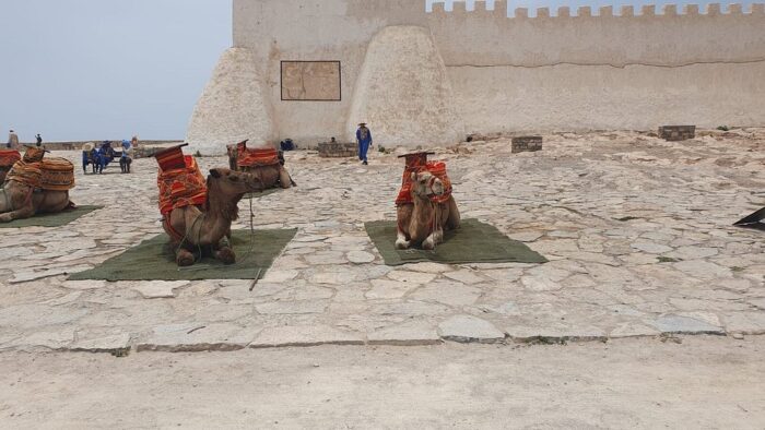 Cable Car Tour in Agadir: Experience the City from Above - Image 18