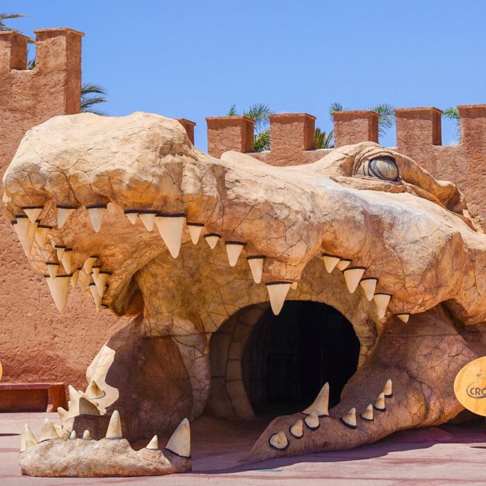 Crocoparc Tour from Agadir: Discover the World of Crocodiles