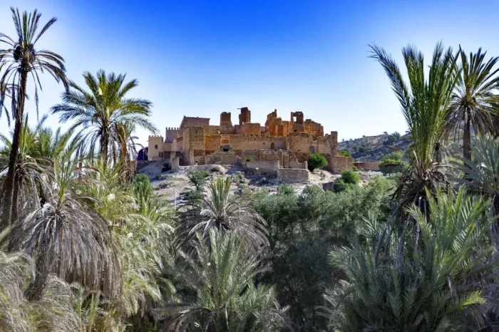 Taroudant & Tiout day tour from Agadir​ - Image 5