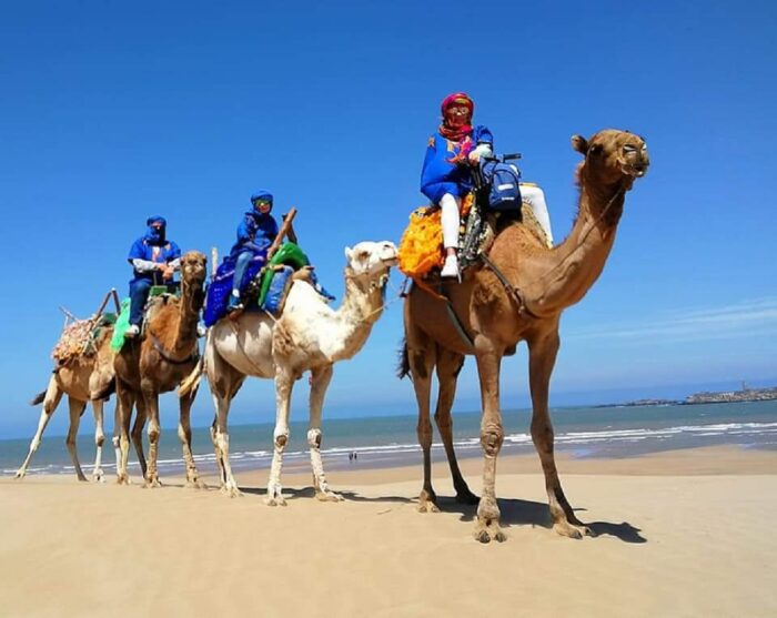 Barbecue Camel Ride in Agadir: Adventure Meets Culinary Delight - Image 4
