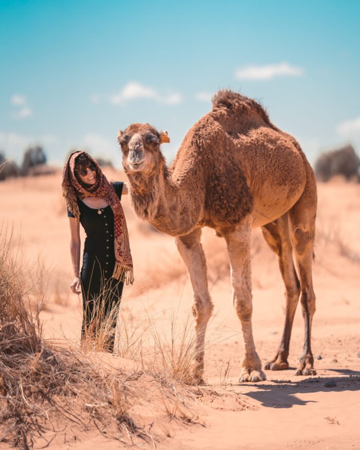 Barbecue Camel Ride in Agadir: Adventure Meets Culinary Delight