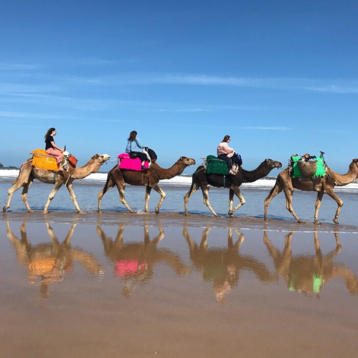 Barbecue Camel Ride in Agadir: Adventure Meets Culinary Delight - Image 5