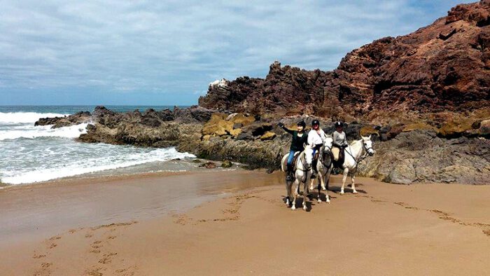 Horse Ride Tour in Agadir: Explore Nature on Horseback - Image 6