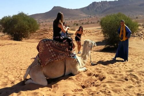 Small desert day trip from Agadir