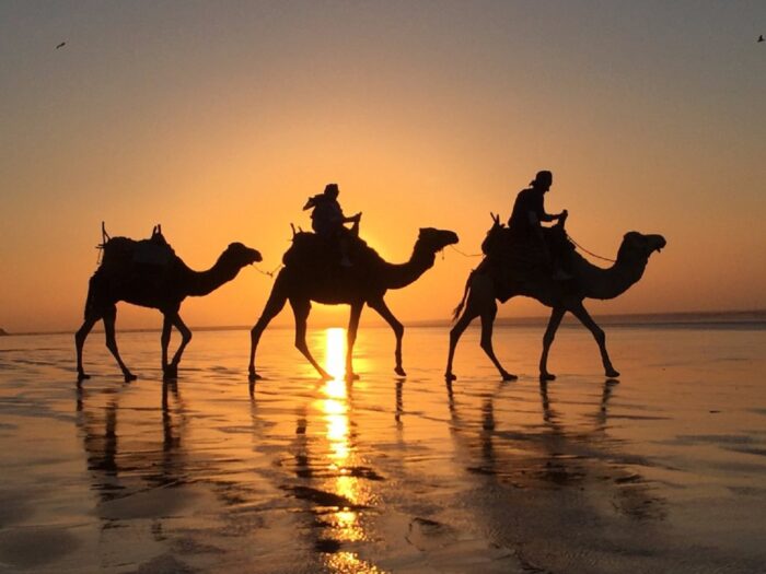 Barbecue Camel Ride in Agadir: Adventure Meets Culinary Delight - Image 6