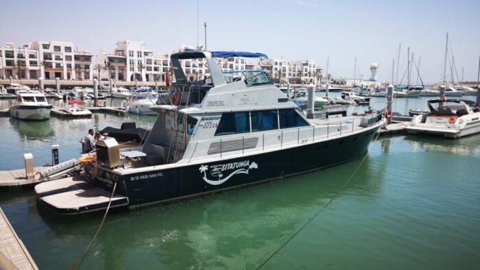 Boat Trip from Taghazout: A Relaxing Coastal Adventure - Image 3