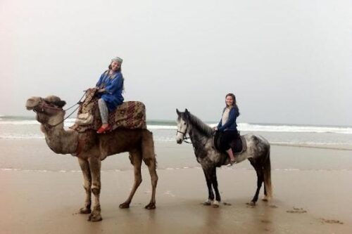 Horse Ride Tour in Taghazout: A Coastal Adventure