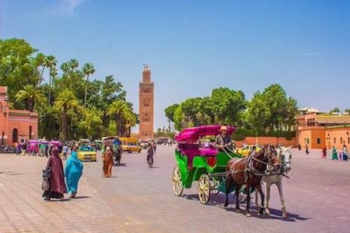 Marrakech Day Trip from Taghazout: Discover the Imperial City